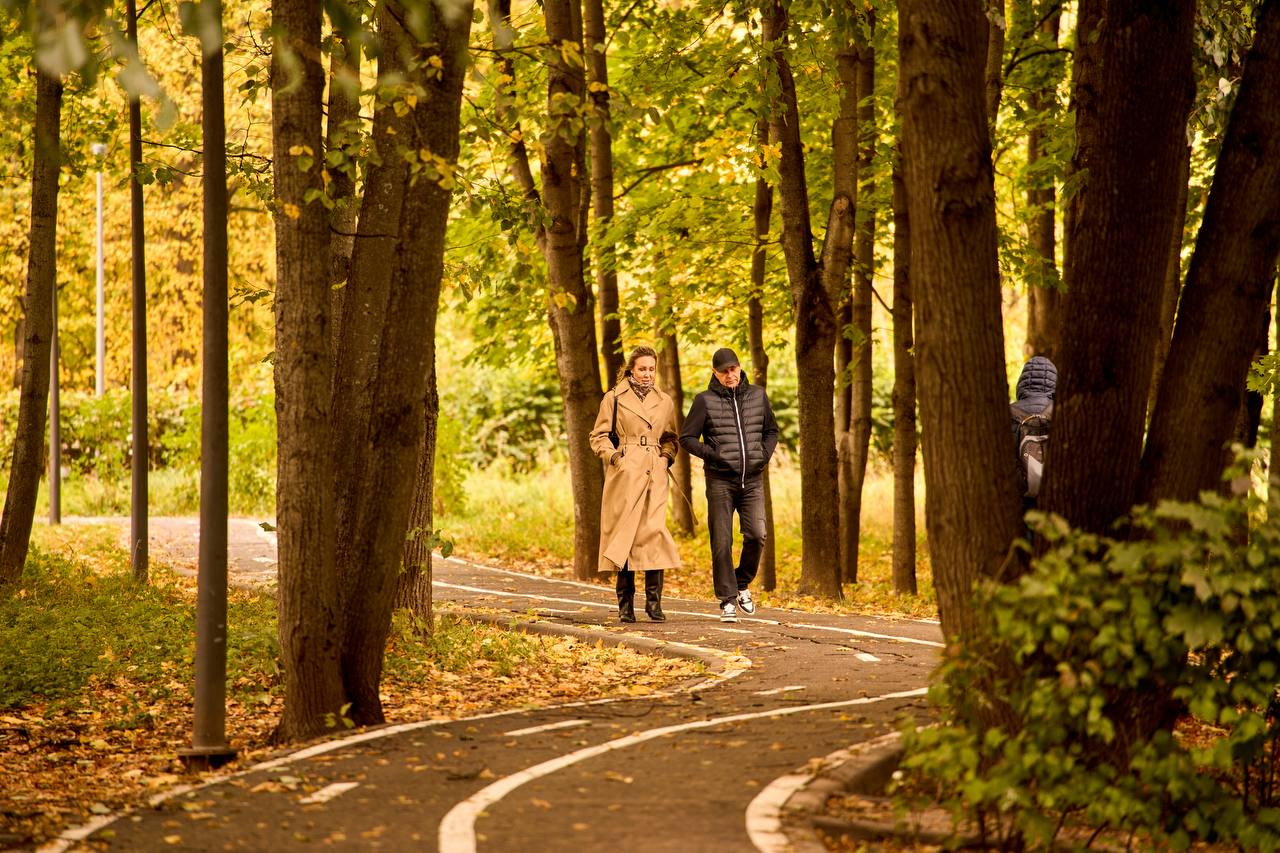 Этот пост — знак отправиться на прогулку в любимый парк Этот пост — знак отправиться на прогулку в любимый парк