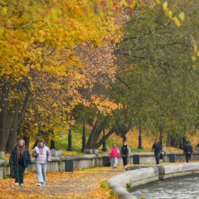Тёплая погода сохранится в Москве до конца недели
