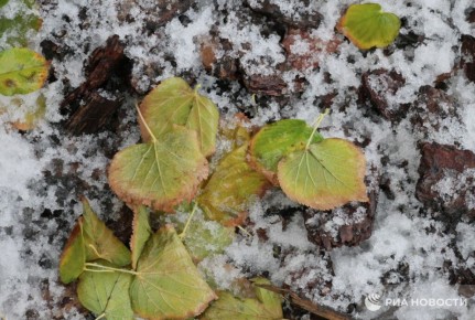       ,         ,    &quot;&quot;