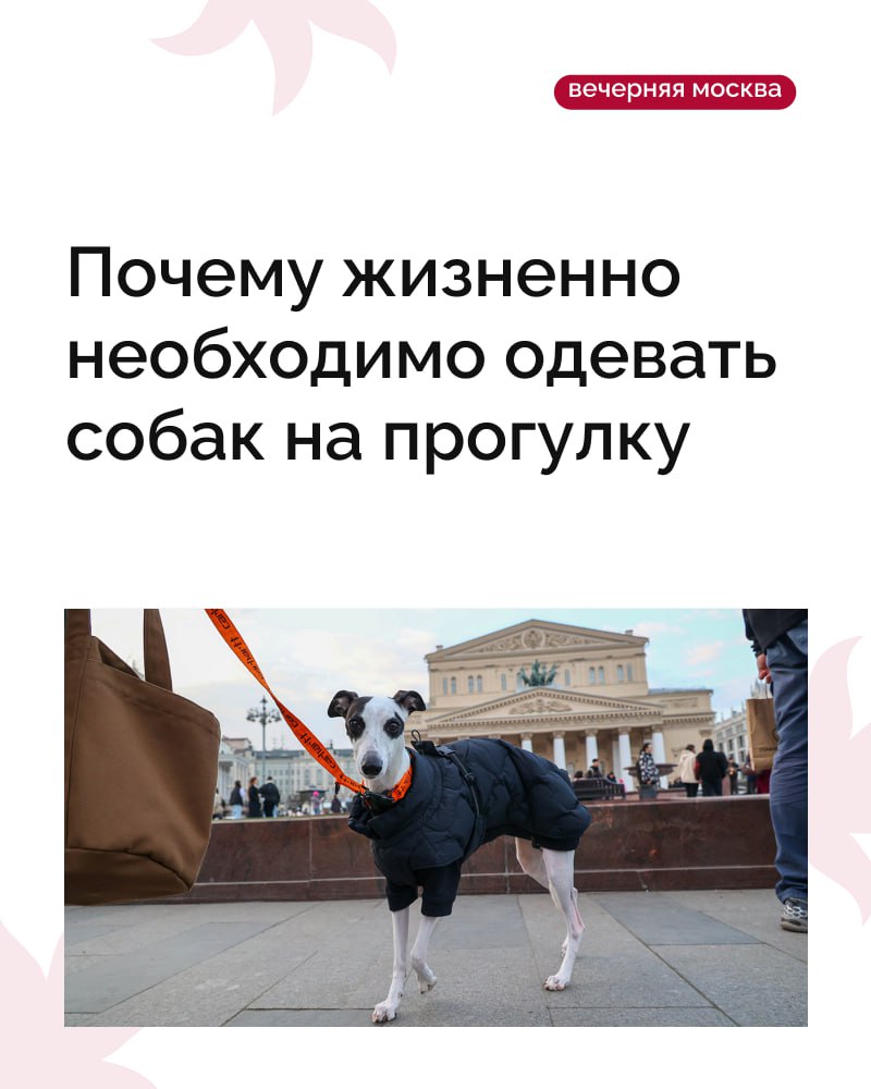 Зима уже на пороге, и на улицах становится все холоднее