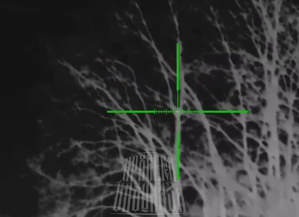 «Бобры» снова летают на наши территории