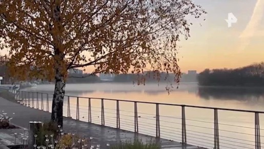 Москву и область окутал туман — объявлен "жёлтый" уровень опасности, сообщили в Гидрометцентре России