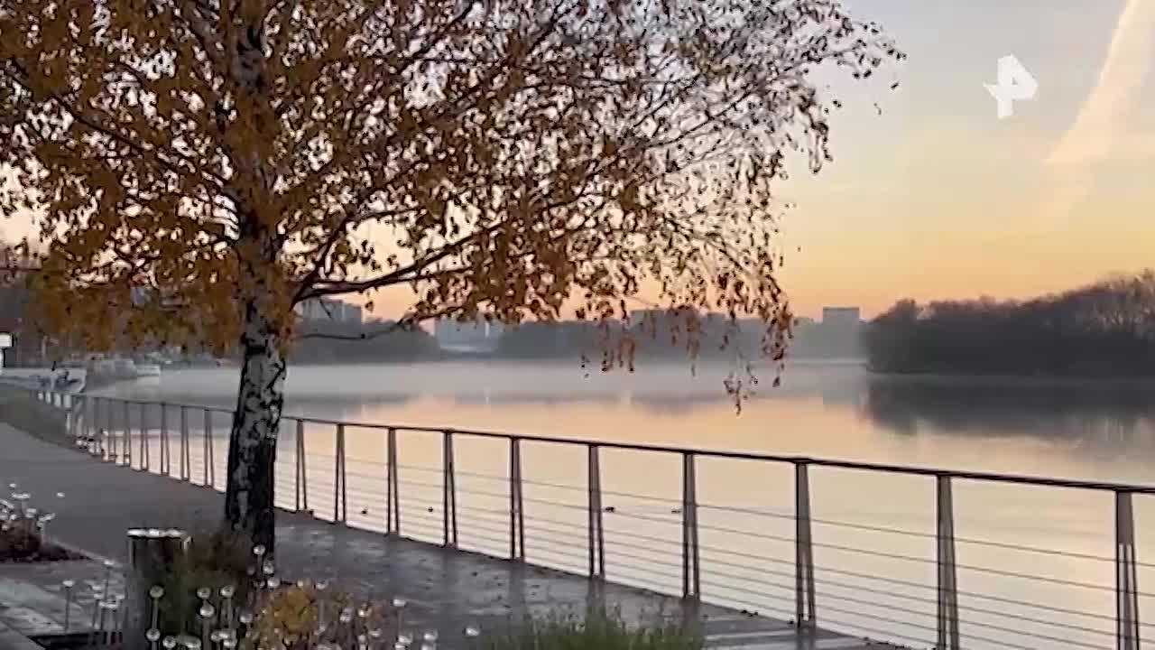 Москву и область окутал туман — объявлен "жёлтый" уровень опасности, сообщили в Гидрометцентре России