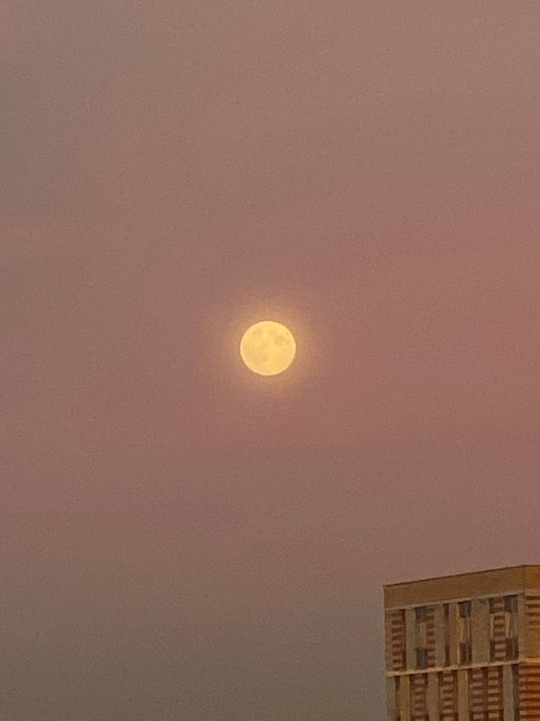 Самое время посмотреть в небо! Москвичи сегодня смогут наблюдать суперлуние