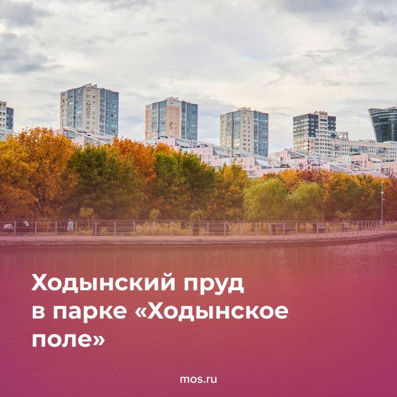 Осень — лучшее время для неспешных прогулок по московским паркам Осень — лучшее время для неспешных прогулок по московским паркам