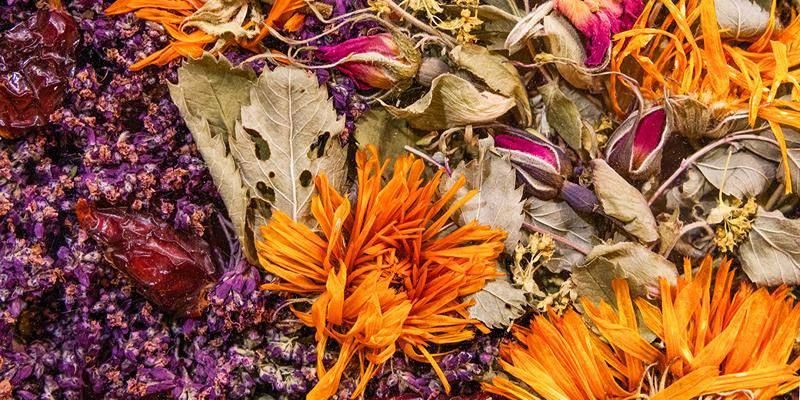 На московских ярмарках представлены чаи из разных регионов России На московских ярмарках представлены чаи из разных регионов России