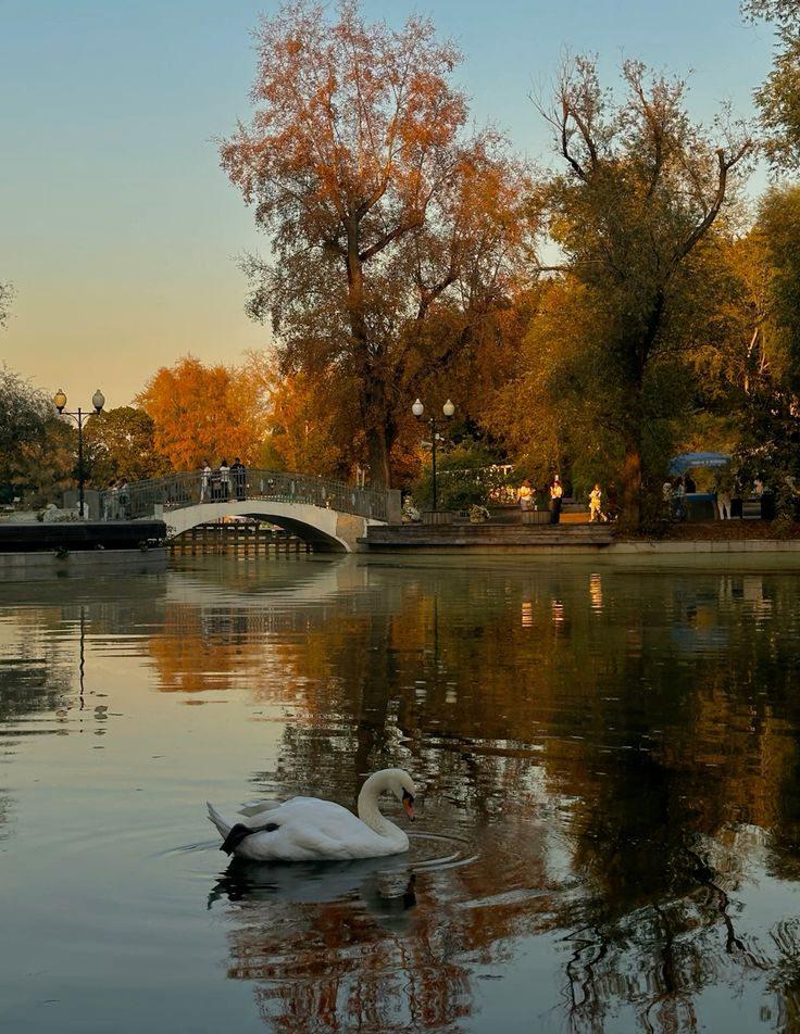 Первый рабочий день после длинных выходных подошел к концу