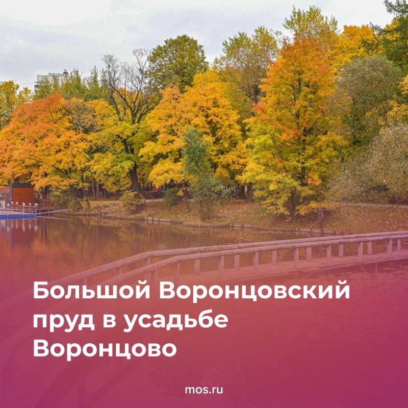 Осень — лучшее время для неспешных прогулок по московским паркам Осень — лучшее время для неспешных прогулок по московским паркам