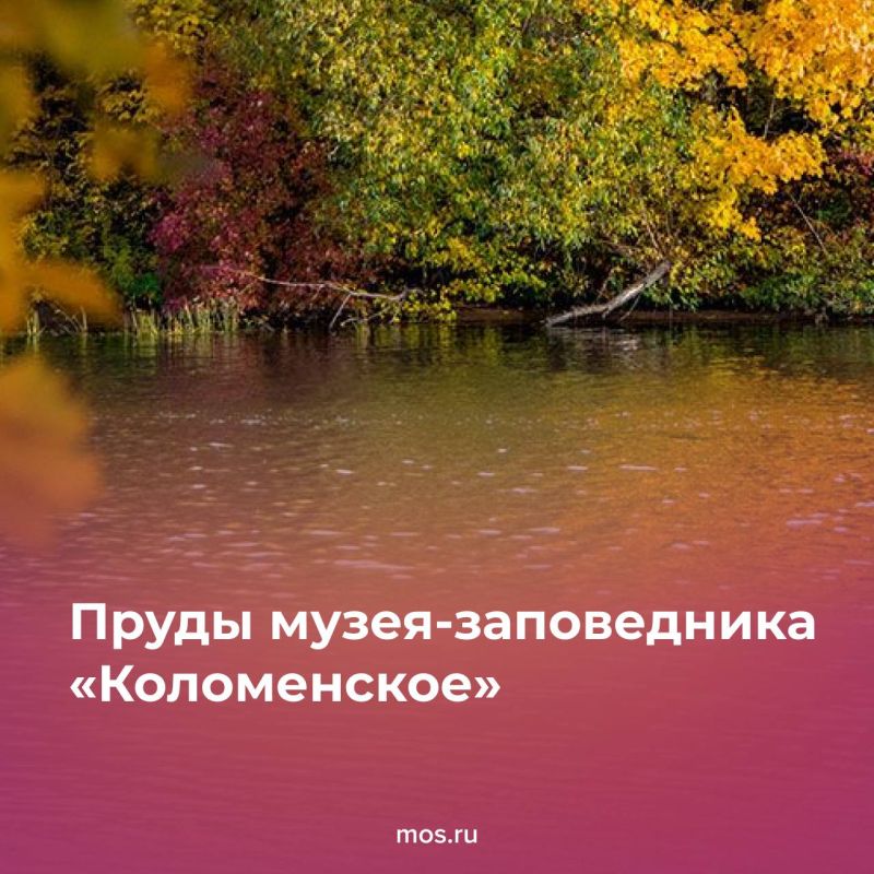 Осень — лучшее время для неспешных прогулок по московским паркам Осень — лучшее время для неспешных прогулок по московским паркам