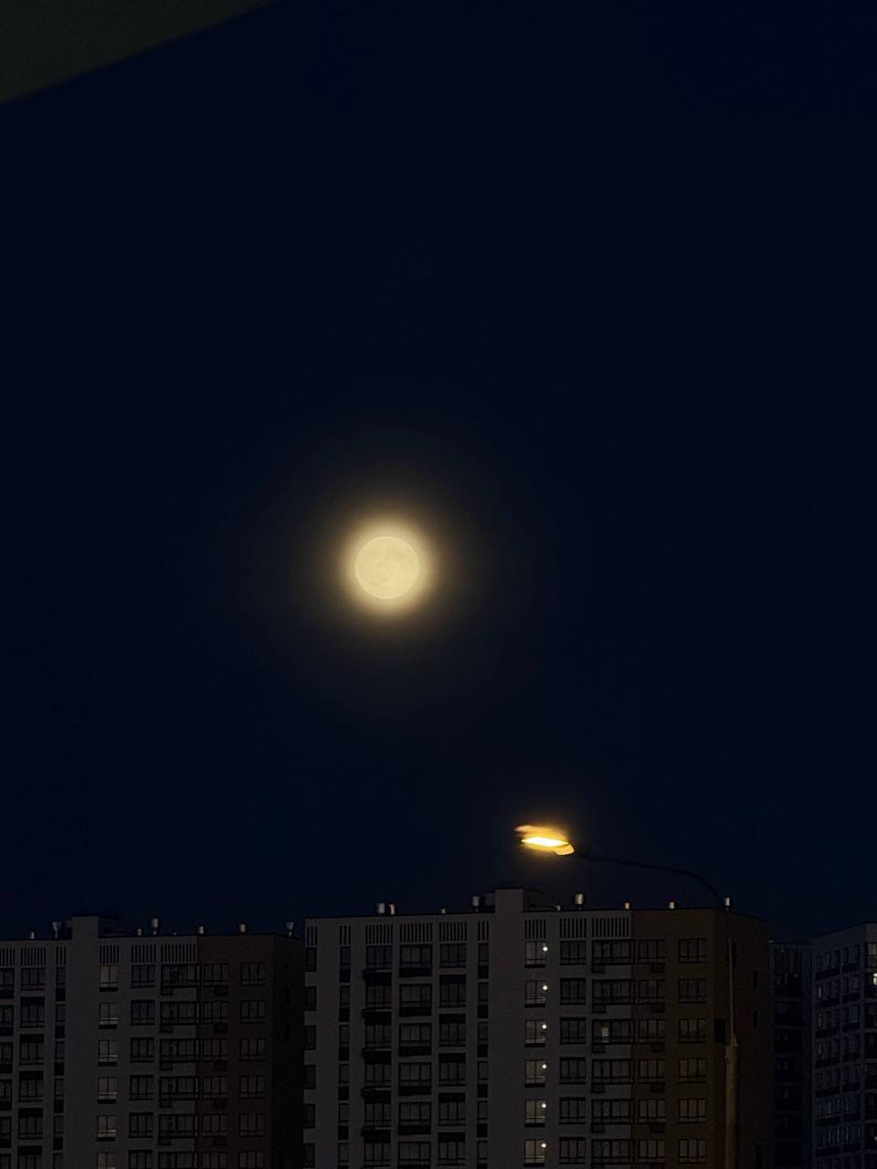 В небе над столицей взошла Бобровая Луна В небе над столицей взошла Бобровая Луна