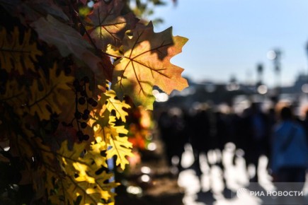 Аномально теплая для ноября погода ждет москвичей в выходные – будет до +10