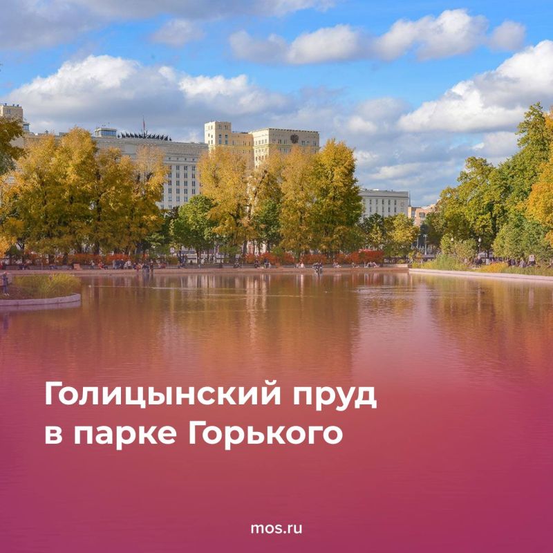 Осень — лучшее время для неспешных прогулок по московским паркам Осень — лучшее время для неспешных прогулок по московским паркам