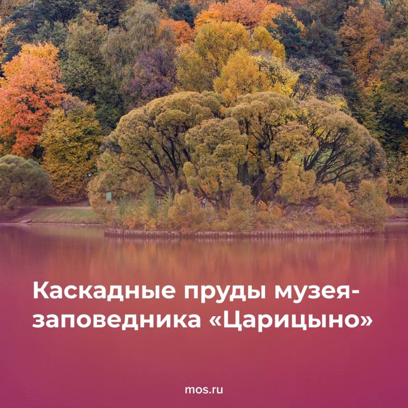 Осень — лучшее время для неспешных прогулок по московским паркам Осень — лучшее время для неспешных прогулок по московским паркам