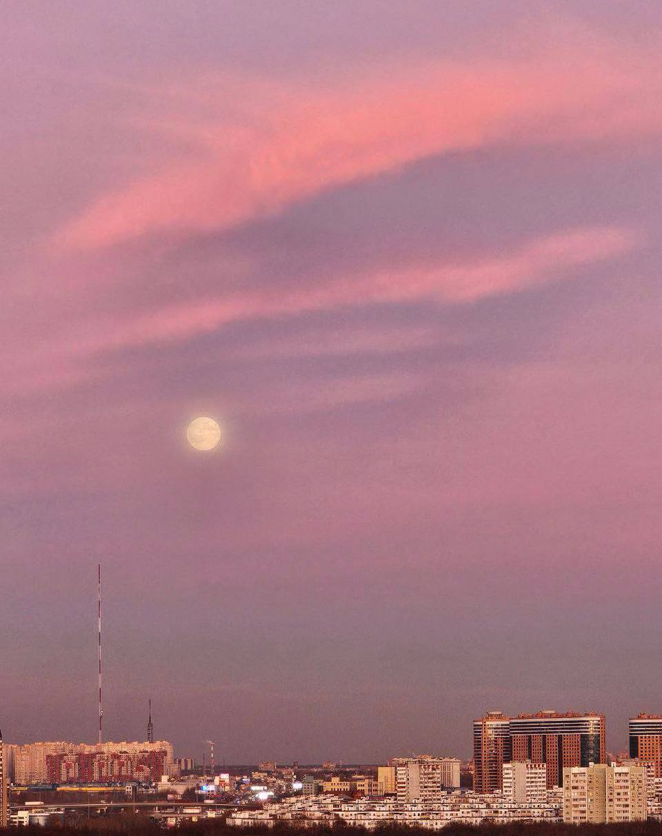 В небе над столицей взошла Бобровая Луна