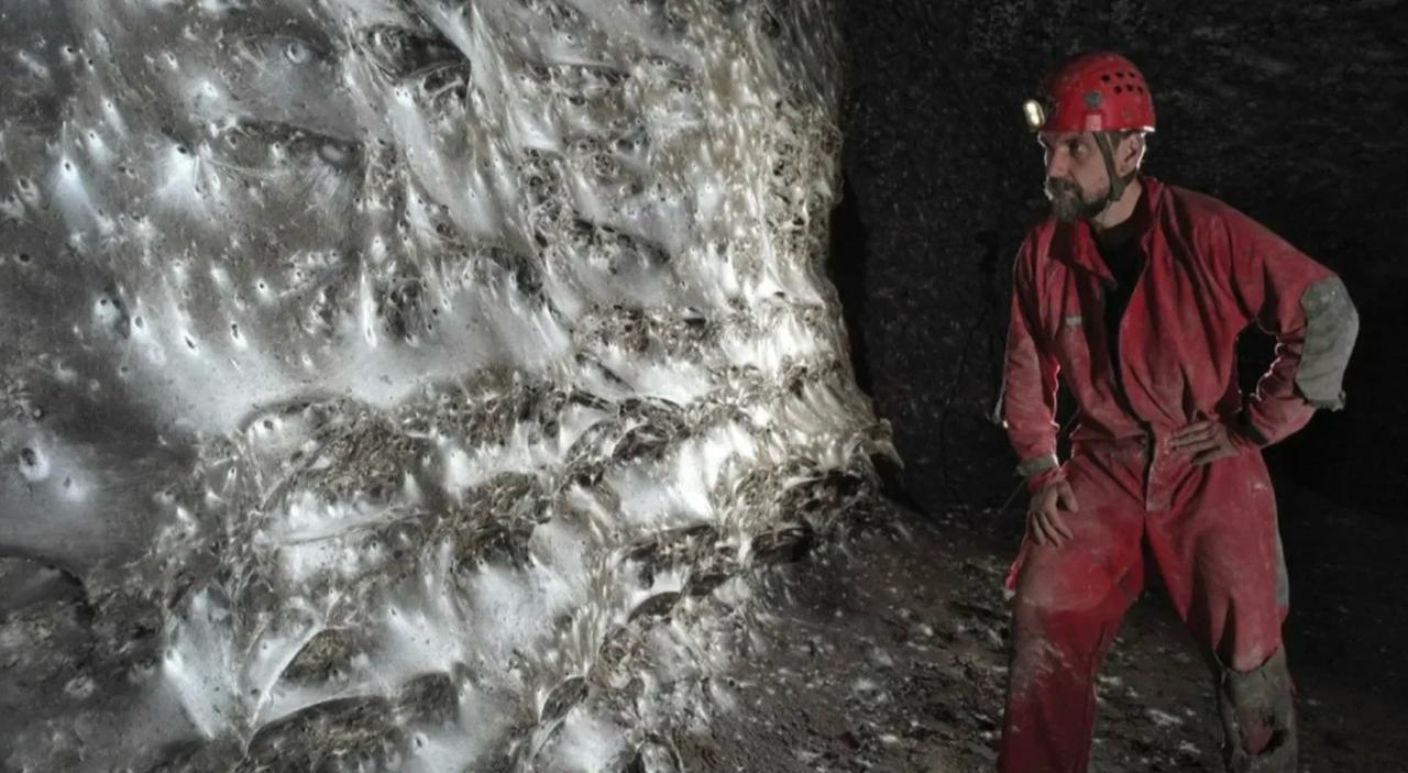 В сети завирусился ролик, где исследователи обнаружили самую крупную в мире паутину