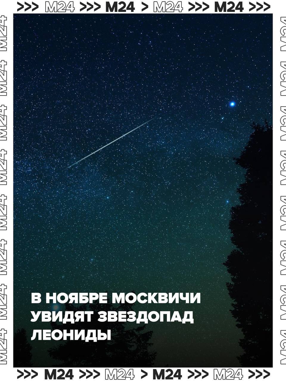 Весь ноябрь смотрим в небо — ловим метеорный поток Леониды