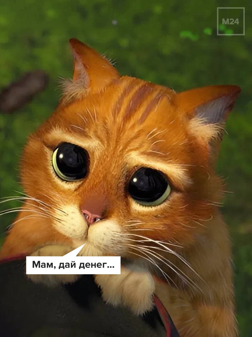 Больше трети россиян от 18 до 35 лет продолжают просить деньги у родителей