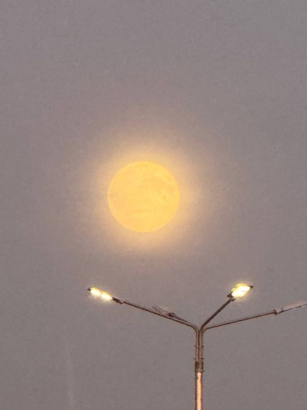 Суперлуние сняли на камеру в Москве и Подмосковье Суперлуние сняли на камеру в Москве и Подмосковье