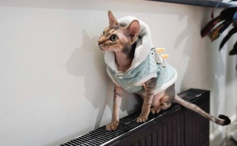 В России меняются требования для организаций, занимающихся теплоснабжением