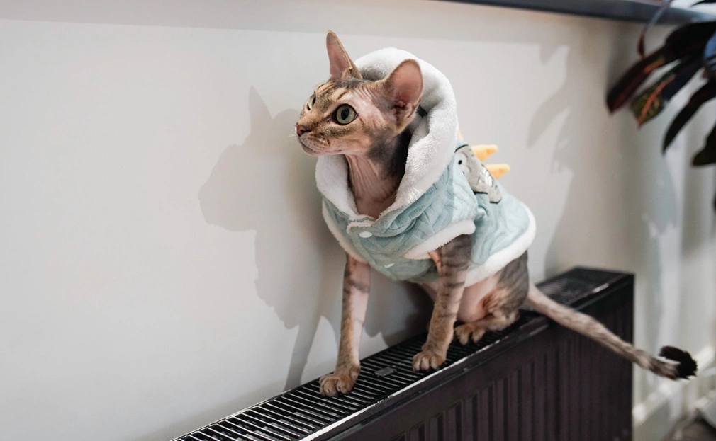 В России меняются требования для организаций, занимающихся теплоснабжением