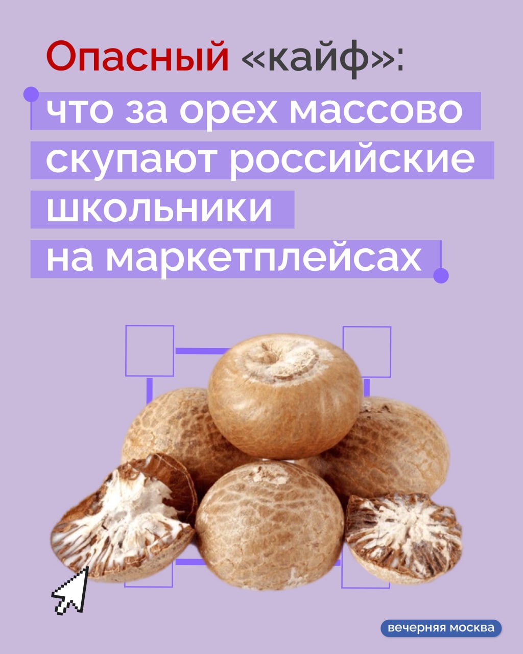 Когда экзотика превращается в угрозу: бетельный орех, набирающий популярность среди школьников, может вызывать серьезные поражения нервной и сердечно-сосудистой систем