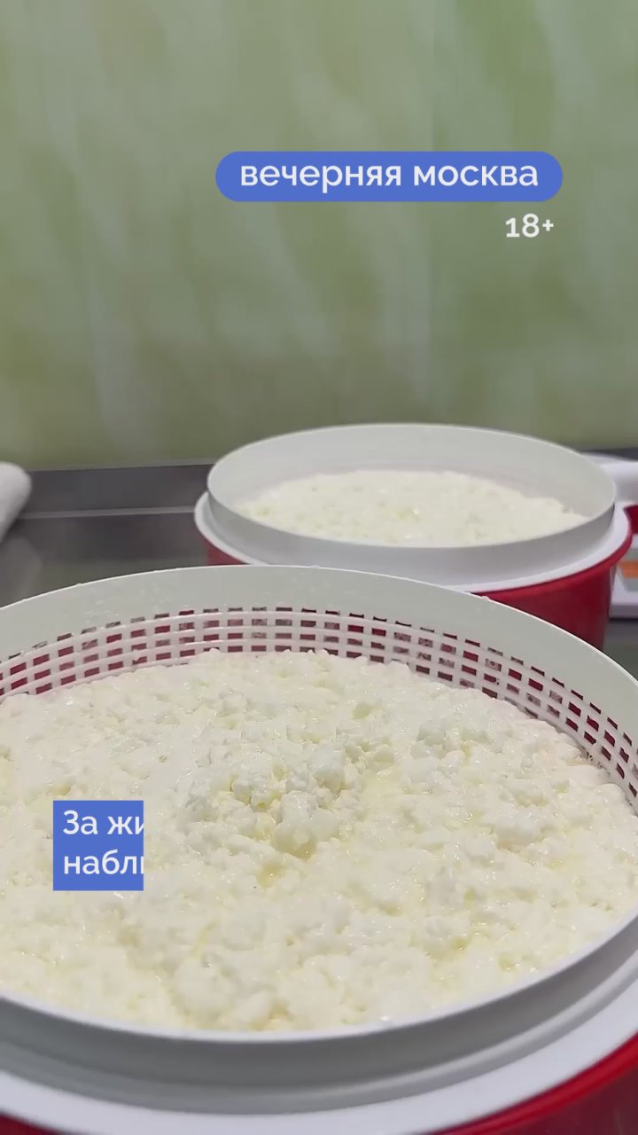 В наше время блогеры уже никого не удивляют — очень многие сегодня излагают свои мысли и мнение в интернете