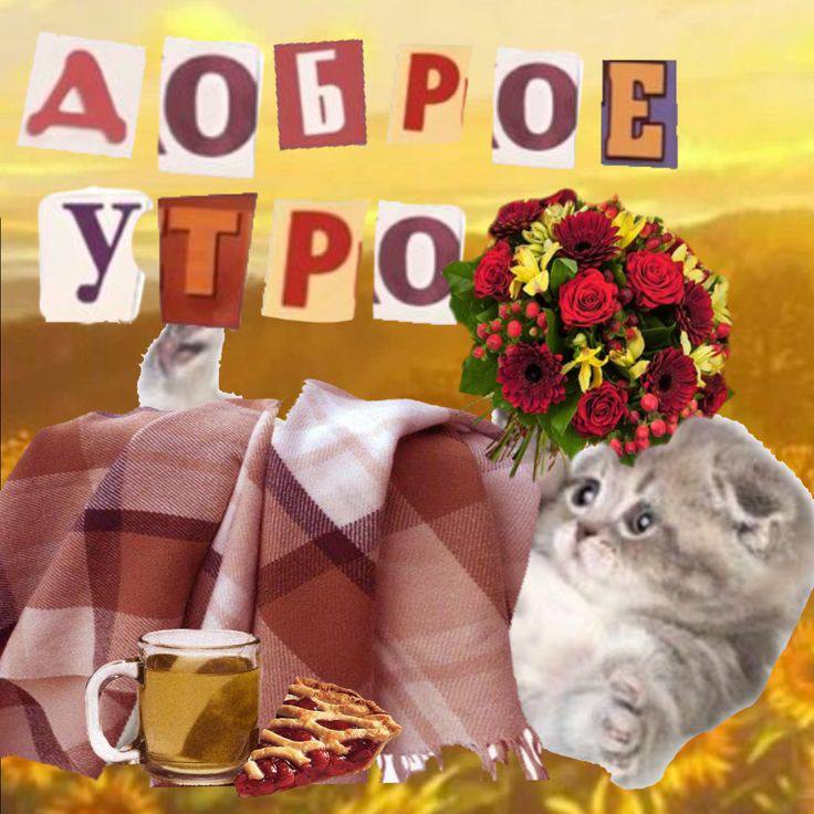 Доброе утро, Москва!. Воскресенье — день, когда можно позволить себе передышку и посвятить время тому, что приносит удовольствие