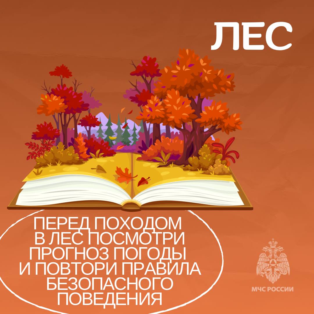 Безопасность выходного дня Безопасность выходного дня
