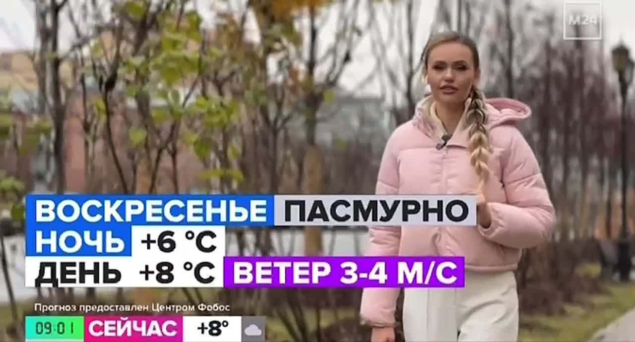 АТМОСФЕРА: погода почти истратила запас тепла для Москвы — достаём свитера и зимние куртки