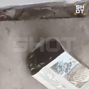 Свёрнутые 10 рублей нашёл мальчик, которому разорвало руку взрывом в Красногорске