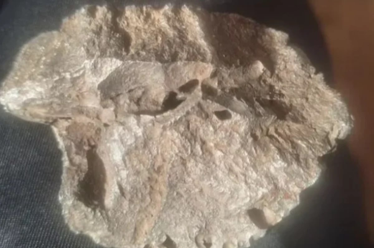 В России начали продавать якобы части метеорита, пролетевшего над Москвой