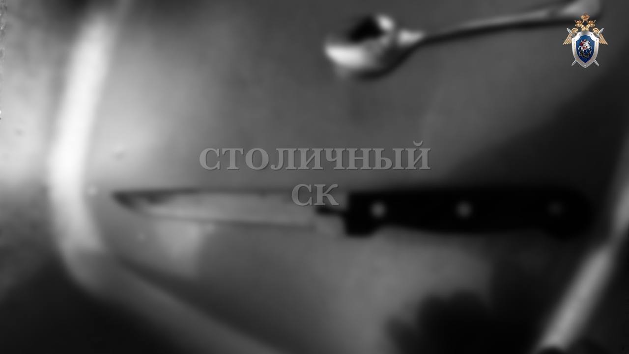 Горе-мать жестоко убила собственного сына на западе Москвы Горе-мать жестоко убила собственного сына на западе Москвы