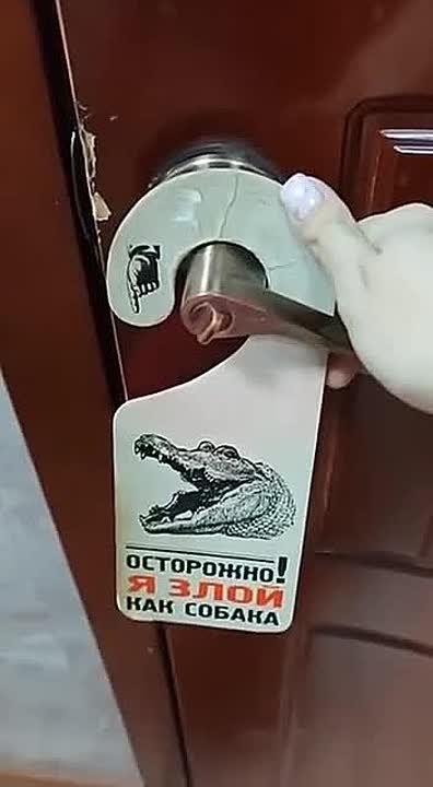 Самый несчастный крокодил России живёт в студии обнинского телеканала — его держат там уже 25 лет