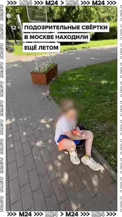 Свернутую подозрительную купюру находили ещё летом в Измайловском парке