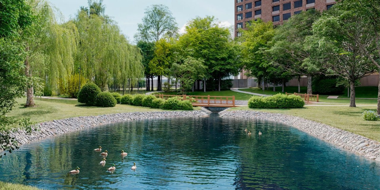 Евгений Попов: Кунцевские пруды на Западе Москвы очистят от ила, также там укрепят берега и создадут зону биоплато Евгений Попов: Кунцевские пруды на Западе Москвы очистят от ила, также там укрепят берега и создадут зону биоплато