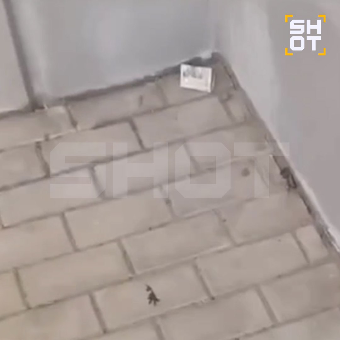 Свёрнутые 10 рублей нашёл мальчик, которому разорвало руку взрывом в Красногорске Свёрнутые 10 рублей нашёл мальчик, которому разорвало руку взрывом в Красногорске