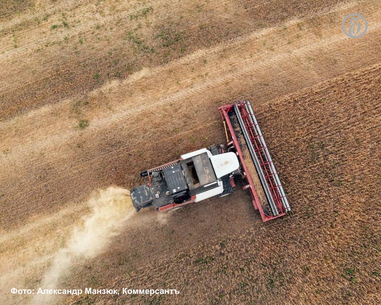 Из федерального бюджета на поддержку сельхозтоваропроизводителей Ставропольского края в 2025 году выделили более 5 млрд руб