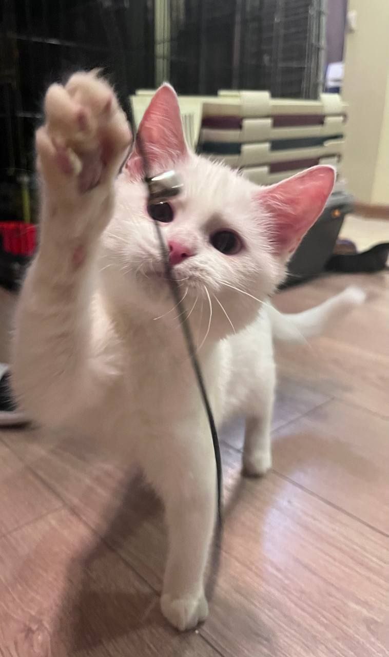 Вот такая красота осталась бесхозной в Москве и скоро будем вынуждены возвращать его в Донецк из Москвы Вот такая красота осталась бесхозной в Москве и скоро будем вынуждены возвращать его в Донецк из Москвы