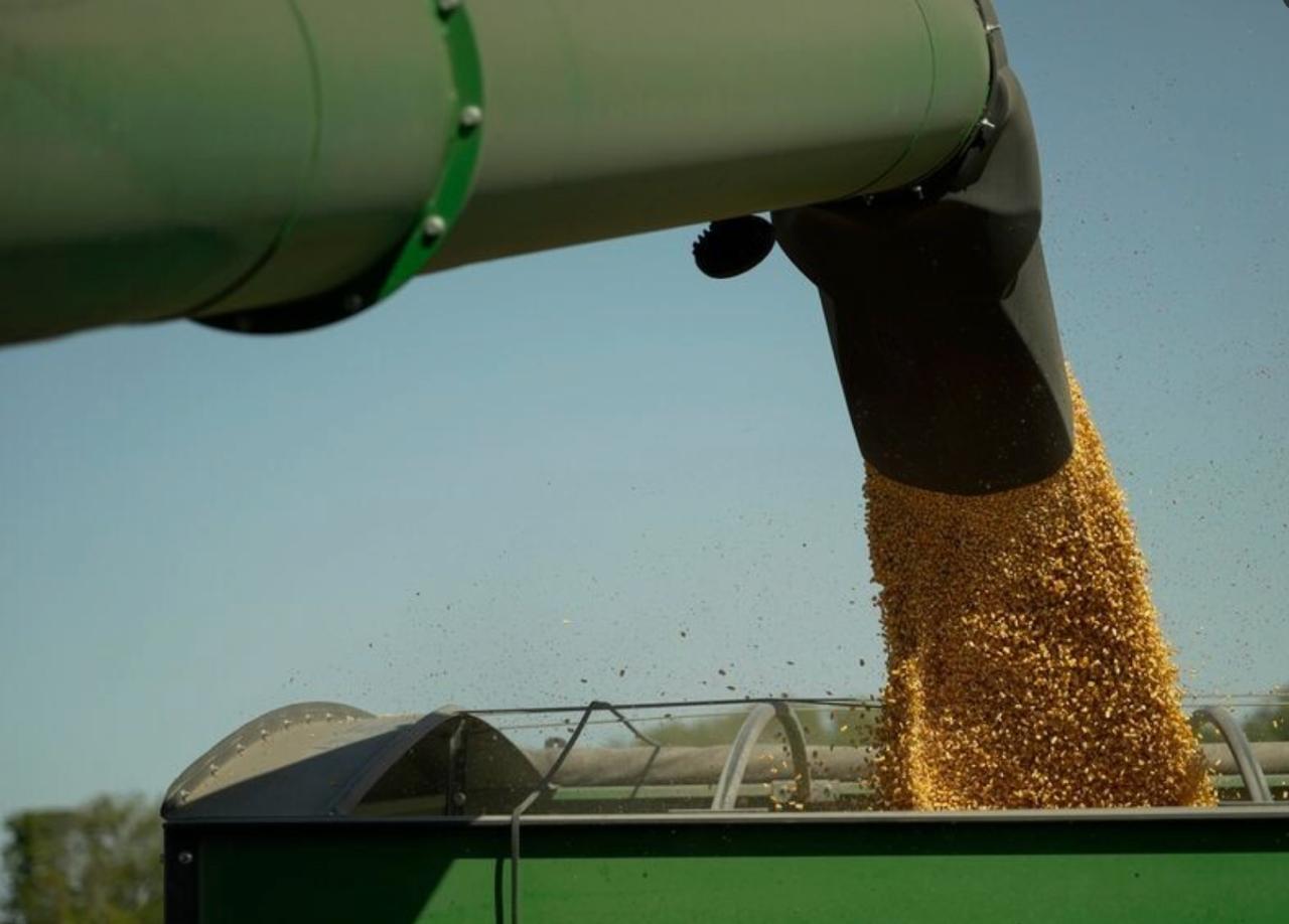 Армения «хочет отвязаться» от Москвы и помогать Киеву через зерно