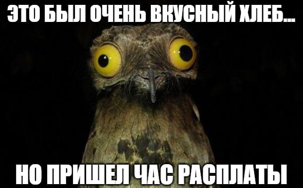 Покормили птичек – готовьтесь к штрафу