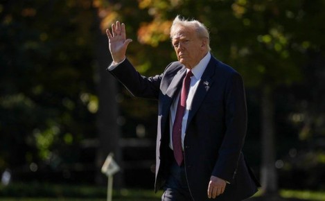  ,             ,  -       CNN