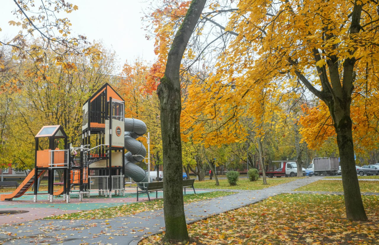 Ребенку разорвало кисть в Красногорске, после того как он поднял с земли деньги