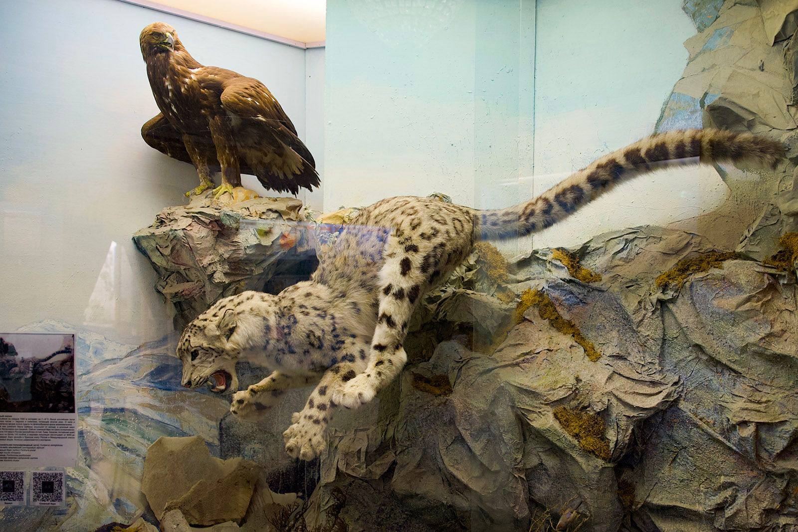 Государственный биологический музей имени К.А. Тимирязева приглашает в удивительное путешествие по миру живой природы Государственный биологический музей имени К.А. Тимирязева приглашает в удивительное путешествие по миру живой природы