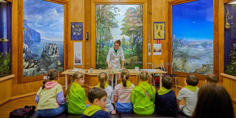 Государственный биологический музей имени К.А. Тимирязева приглашает в удивительное путешествие по миру живой природы