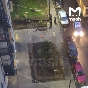 ,    -,     &quot; &quot;         