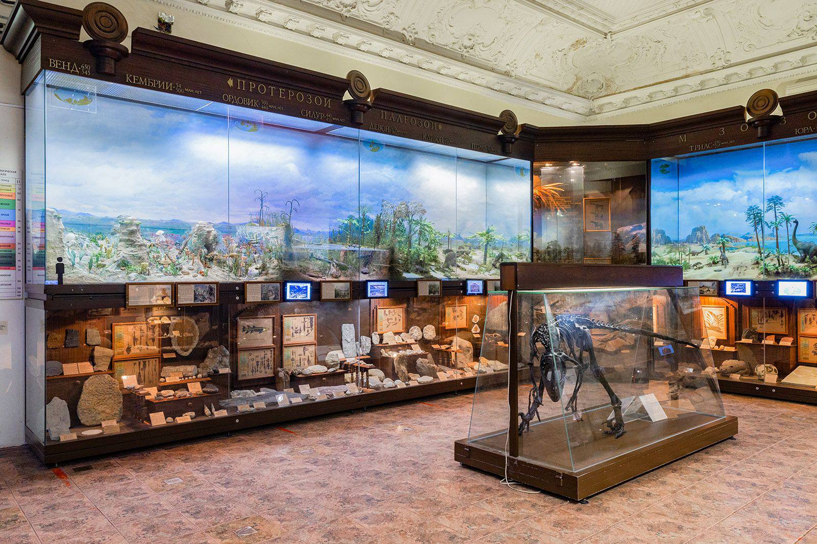 Государственный биологический музей имени К.А. Тимирязева приглашает в удивительное путешествие по миру живой природы Государственный биологический музей имени К.А. Тимирязева приглашает в удивительное путешествие по миру живой природы