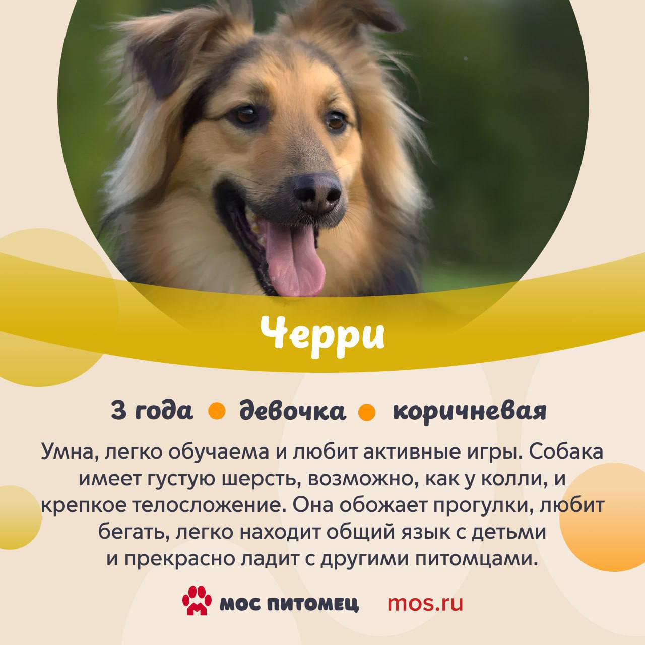 В столице холодает, но мы знаем, что может мгновенно растопить лед В столице холодает, но мы знаем, что может мгновенно растопить лед