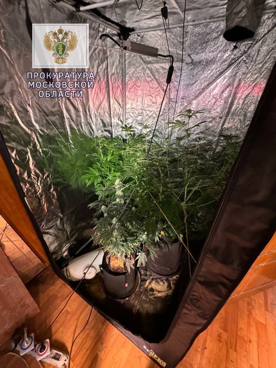 Рэпера Obe 1 Kanobe приговорили к 8 годам колонии строгого режима по делу о покушении на сбыт наркотиков Рэпера Obe 1 Kanobe приговорили к 8 годам колонии строгого режима по делу о покушении на сбыт наркотиков