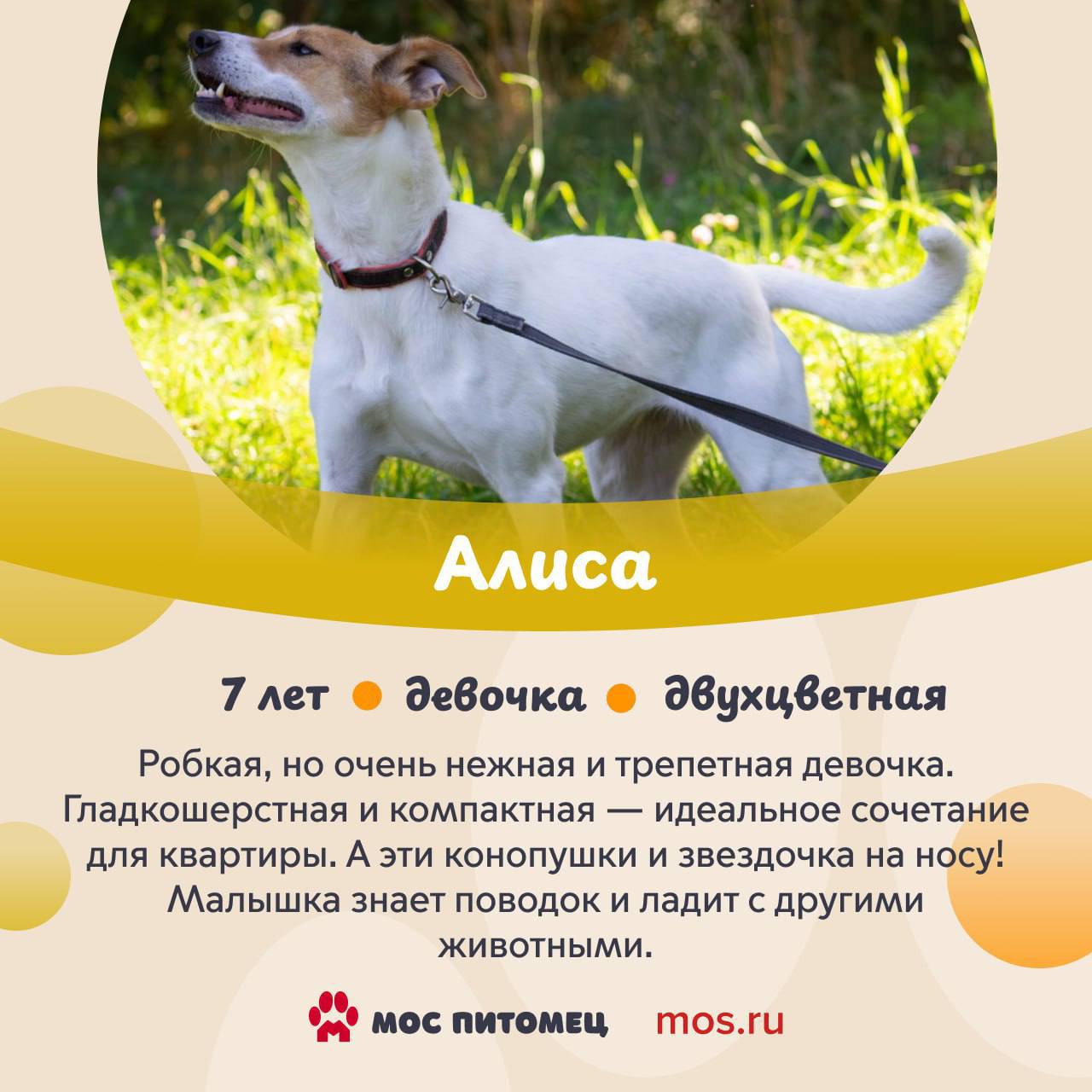 В столице холодает, но мы знаем, что может мгновенно растопить лед В столице холодает, но мы знаем, что может мгновенно растопить лед