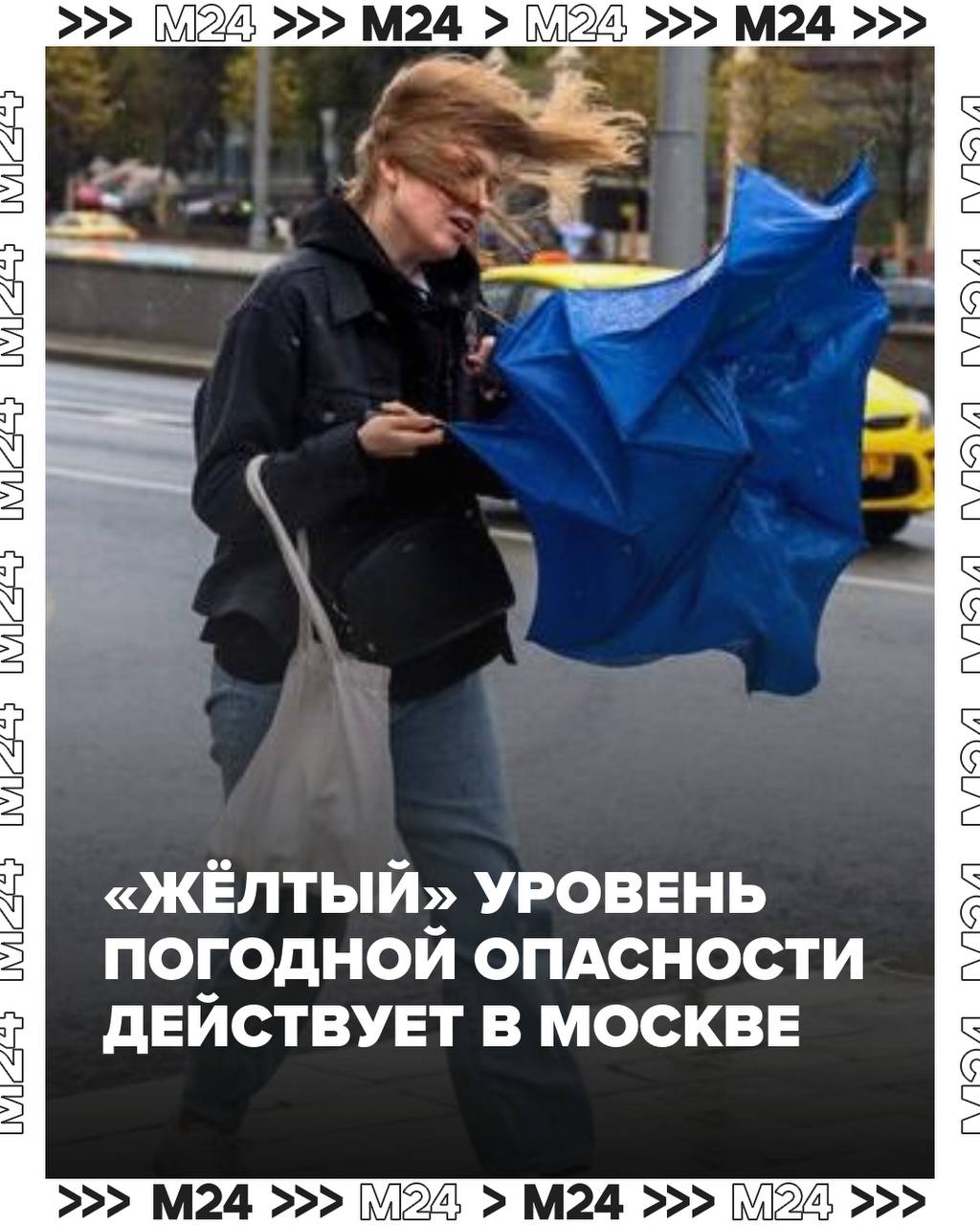 АТМОСФЕРА: Порывы ветра в Москве утром в пятницу достигли штормовых показателей